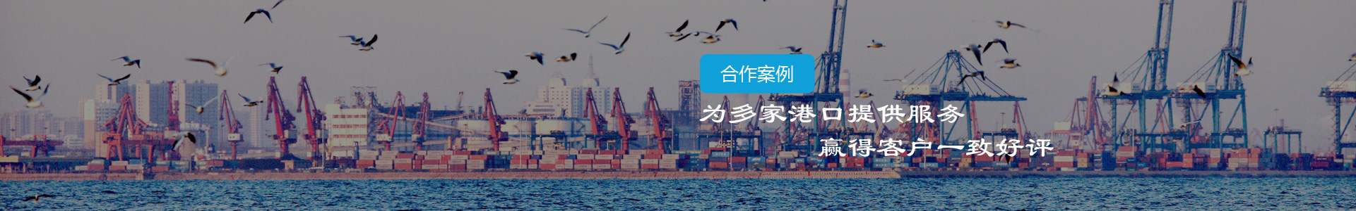 青島港-江陰市博皓港口機械設備有限公司